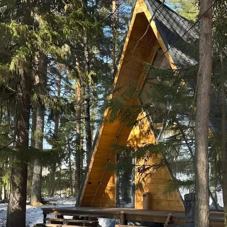 Комната Нижегородская область, Выкса Ризадеевская ул., 101 - Фото 2