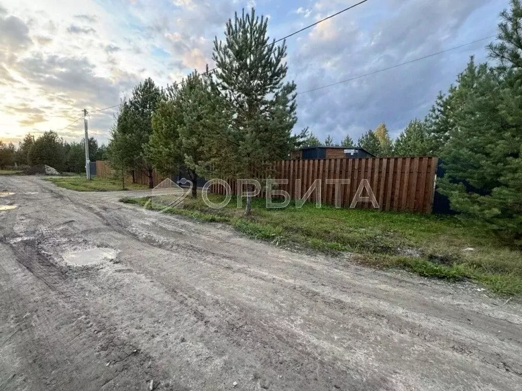 Участок в Тюменская область, Тюменский муниципальный округ, д. Елань ... - Фото 1