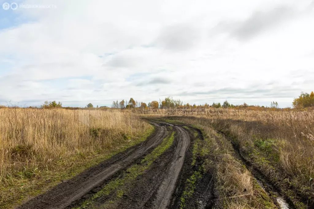 Участок в Тюмень, Ленинский округ (7.05 м) - Фото 1