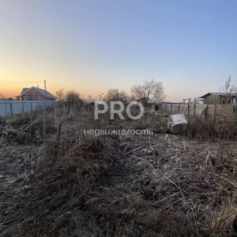 Участок в Ярославская область, Ярославский муниципальный округ, д. ... - Фото 2