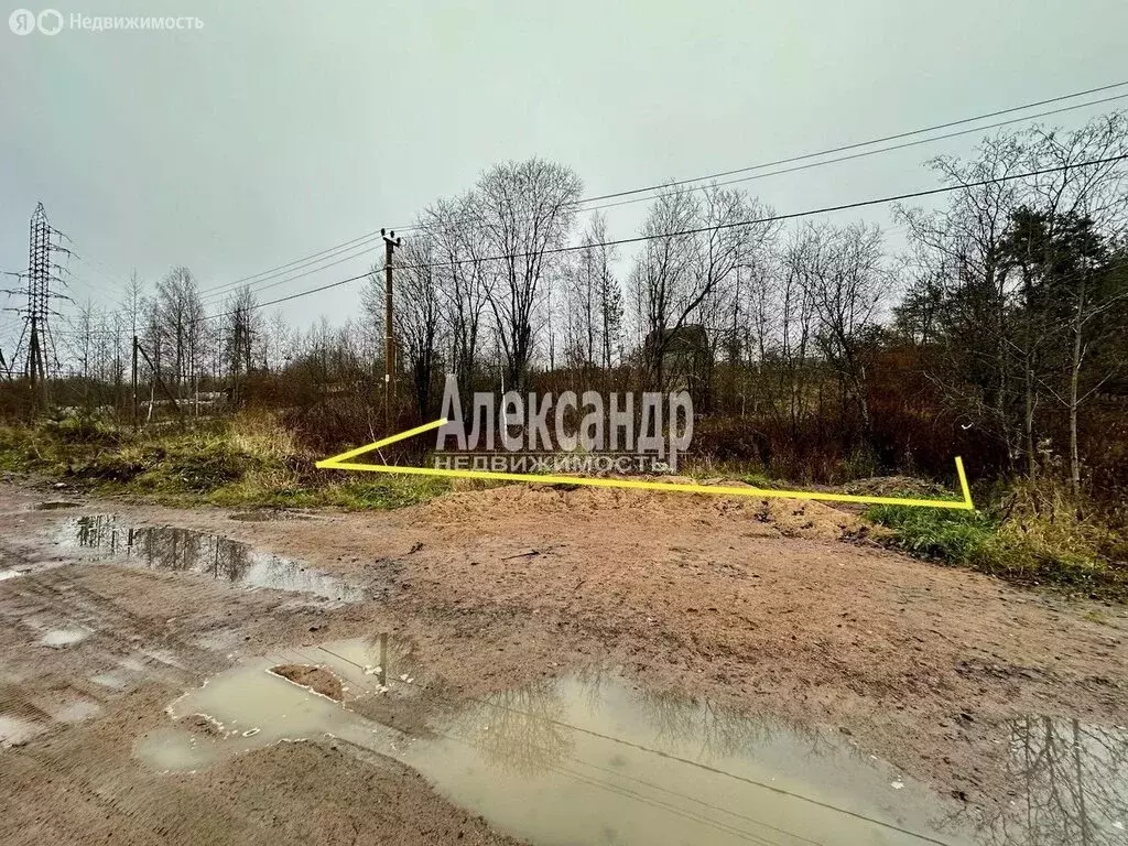 Участок в Приозерский район, городской посёлок Кузнечное (10 м) - Фото 1