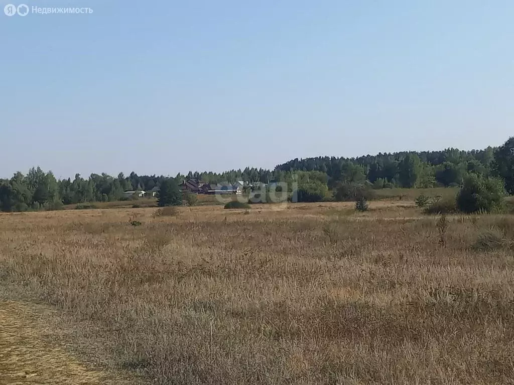 Участок в Липецкая область, Добровский муниципальный округ, село ... - Фото 1