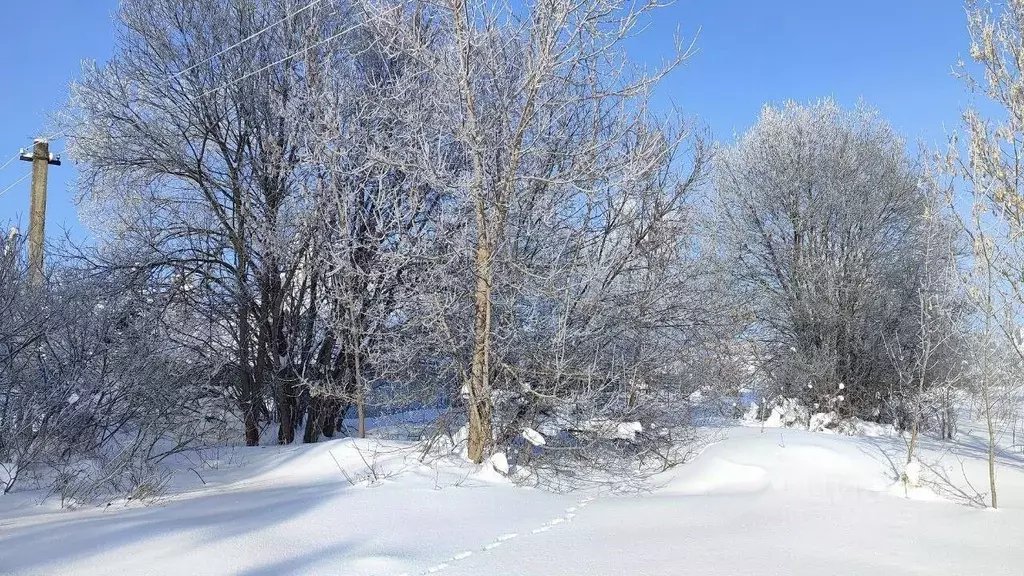 Участок в Московская область, Раменский муниципальный округ, д. ... - Фото 2