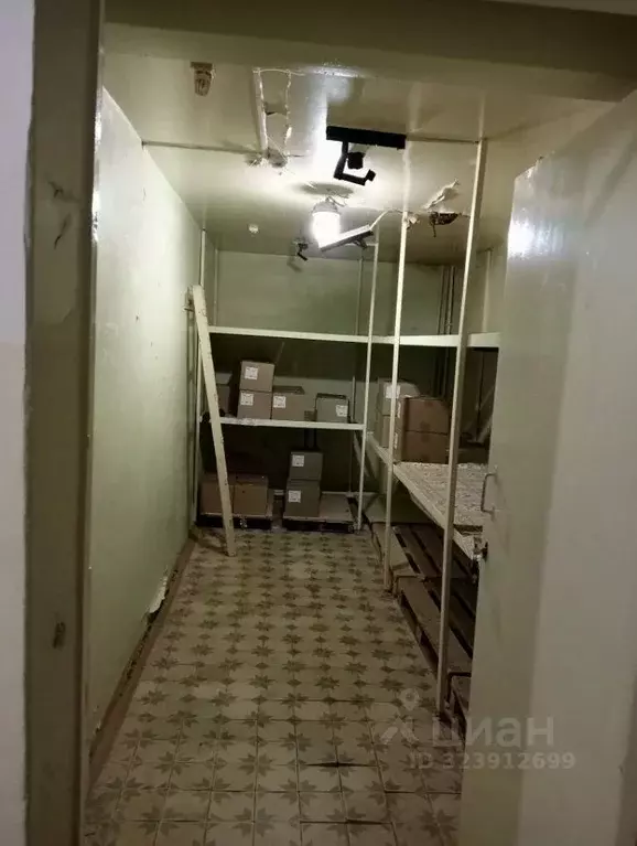 Помещение свободного назначения в Иркутская область, Братск бул. ... - Фото 1