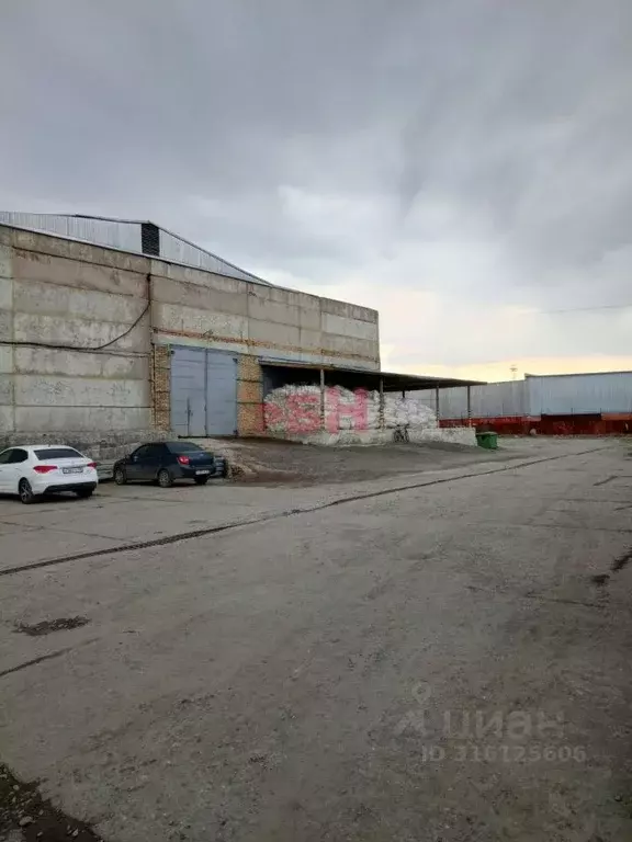 Склад в Пензенская область, Пенза ул. Чаадаева (8400 м) - Фото 1