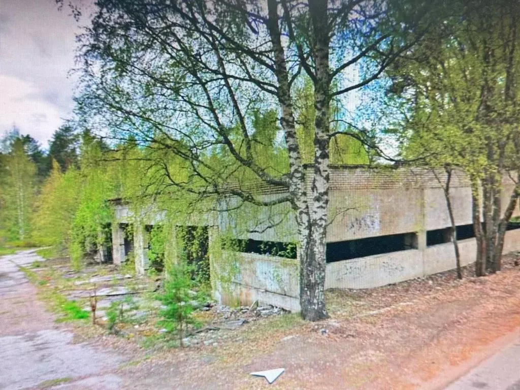 Помещение свободного назначения в Ленинградская область, Приозерский ... - Фото 2