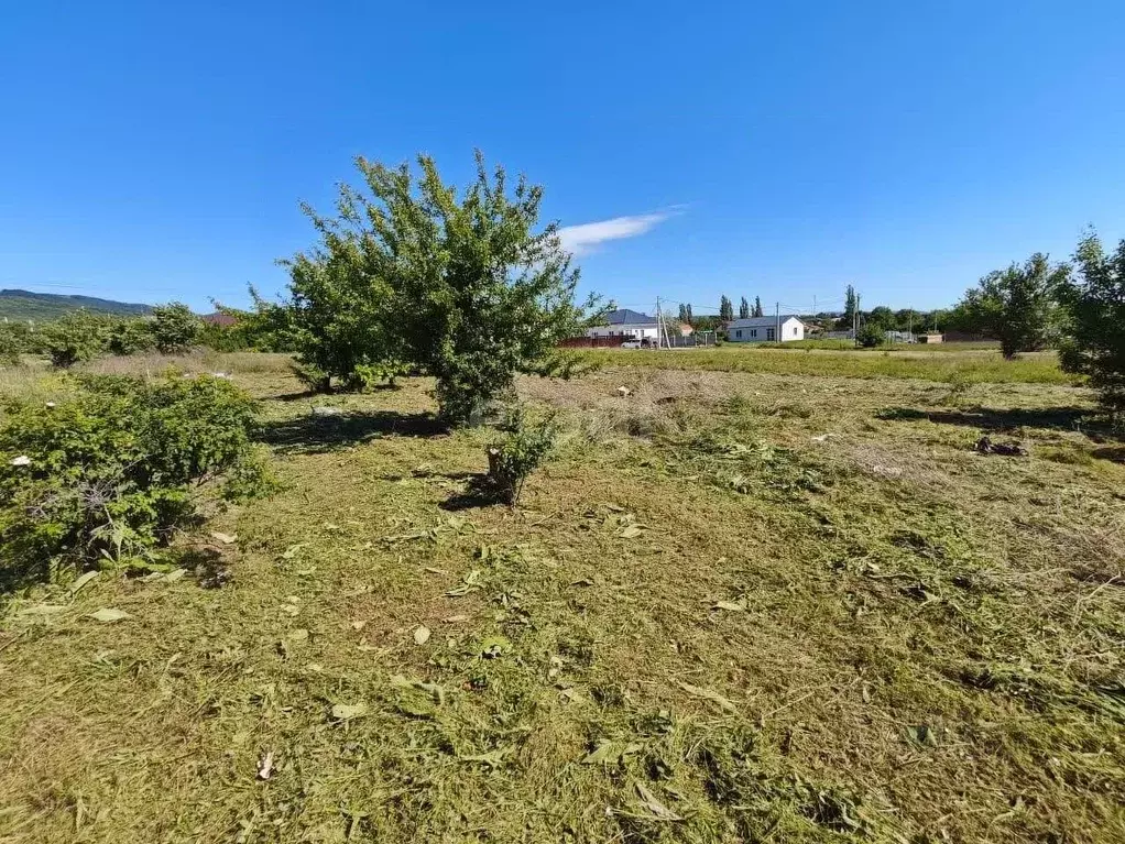 Участок в Краснодарский край, Новороссийск городской округ, ... - Фото 0