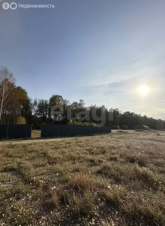 Участок в Тульская область, городской округ Алексин, село Бунырево ... - Фото 2