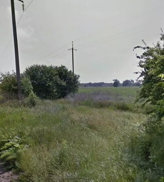 Участок в Краснодарский край, Усть-Лабинск ул. Янтарная (6.0 сот.) - Фото 1