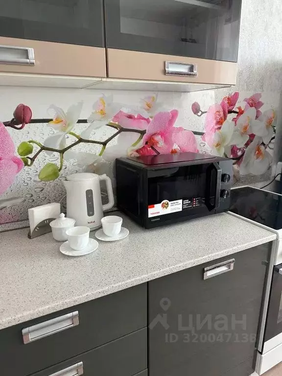 1-к кв. Омская область, Омск ул. Леонида Маслова, 3 (44.0 м) - Фото 2