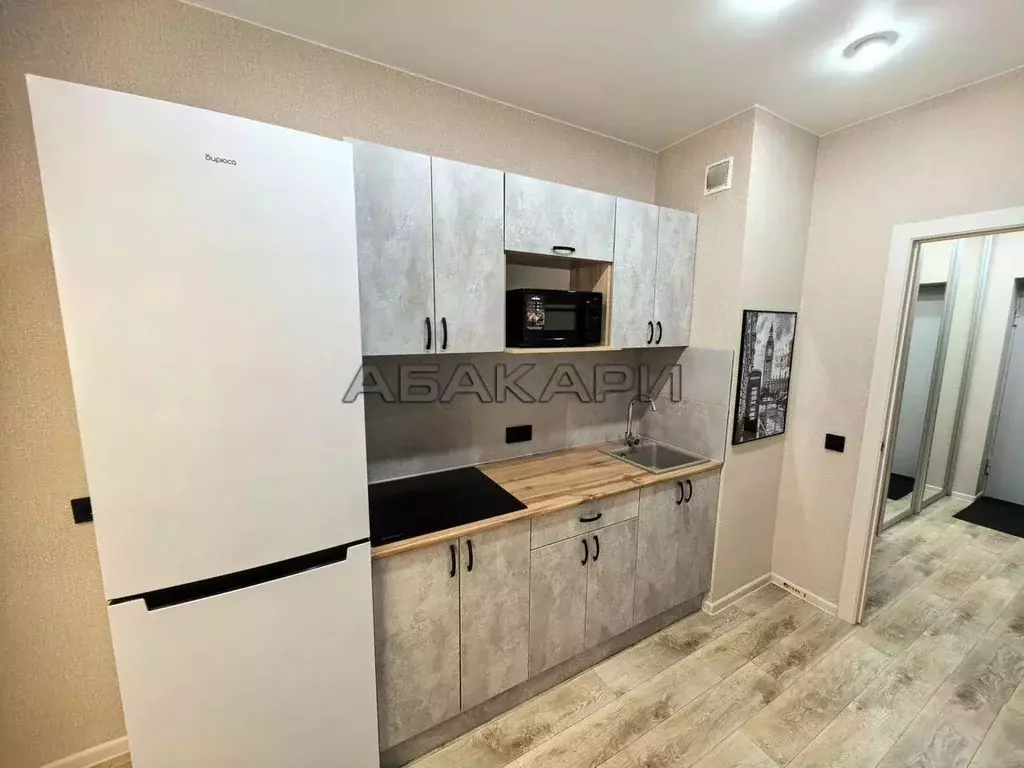 1-к кв. Красноярский край, Красноярск ул. Петра Подзолкова, 24 (42.0 ... - Фото 2