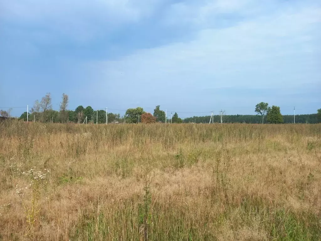 Участок в Московская область, Электросталь городской округ, пос. ... - Фото 0