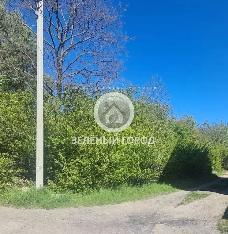 Участок в Калининградская область, Пионерский Ягодка СНТ,  (6.0 сот.) - Фото 1