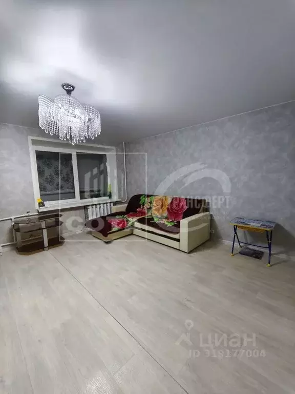 Студия Воронежская область, Воронеж ул. 25 Января, 4 (39.3 м) - Фото 0