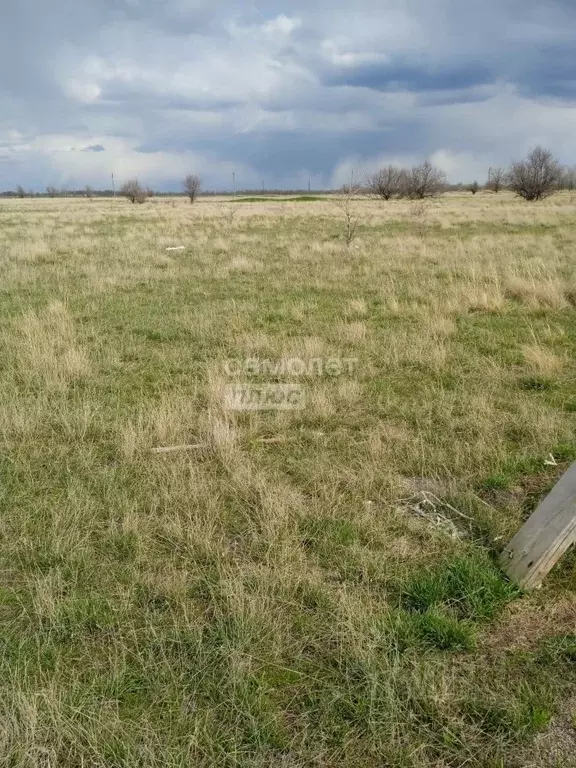 Участок в Саратовская область, Энгельсский район, Красноярское ... - Фото 0