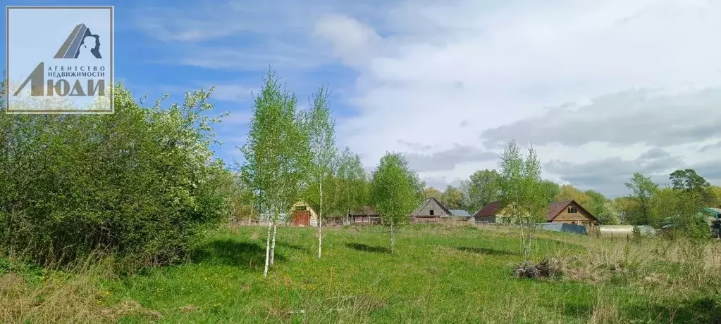 Участок в Новосибирская область, Колыванский район, с. Скала ул. ... - Фото 1