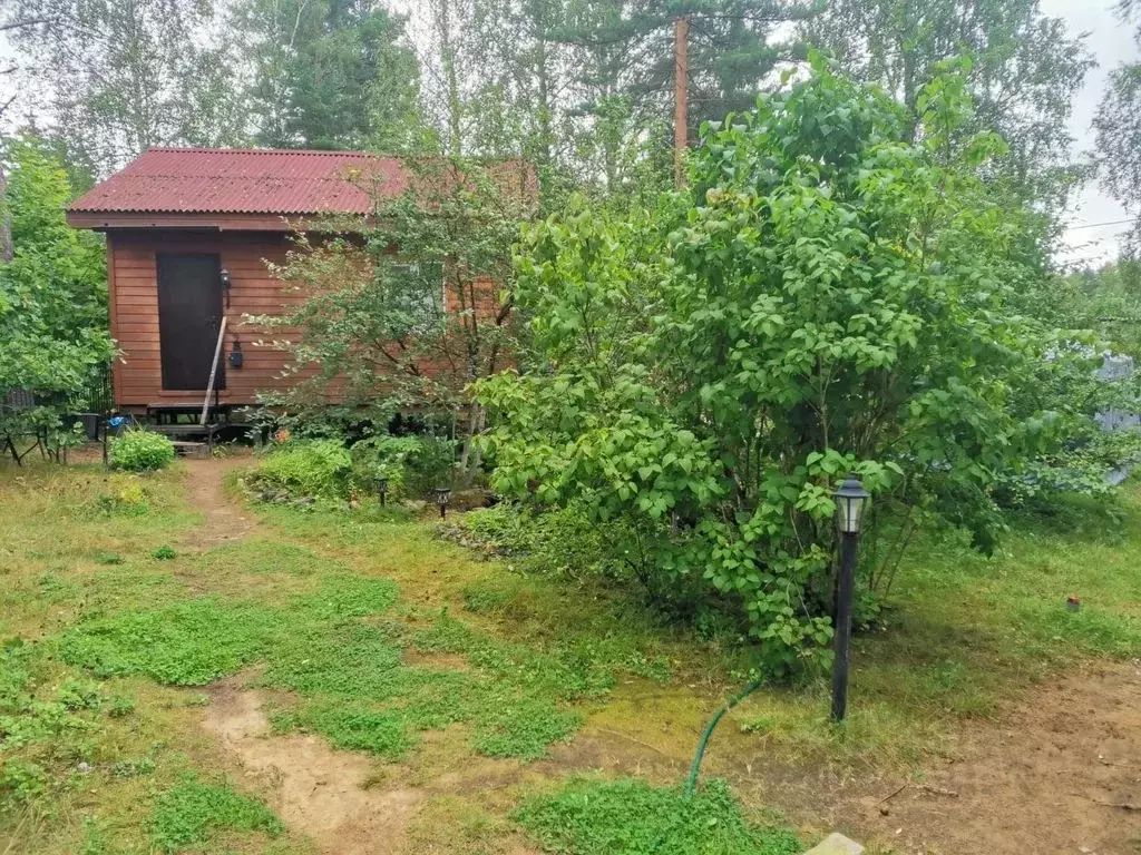 Дом в Ленинградская область, Приозерский район, Сосновское с/пос, ... - Фото 1