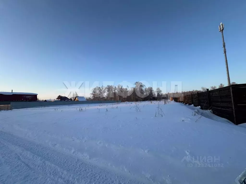 Участок в Новосибирская область, Новосибирский район, Боровской ... - Фото 1