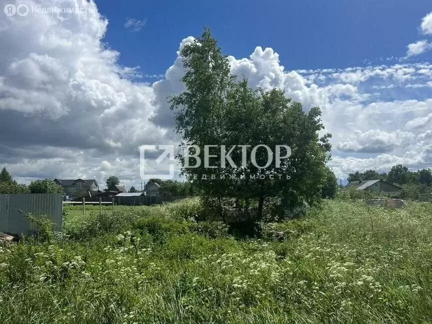 Участок в Костромской район, Бакшеевское сельское поселение, деревня ... - Фото 1