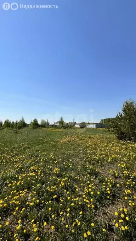 Участок в муниципальное образование Киров, деревня Чарушины, ... - Фото 2