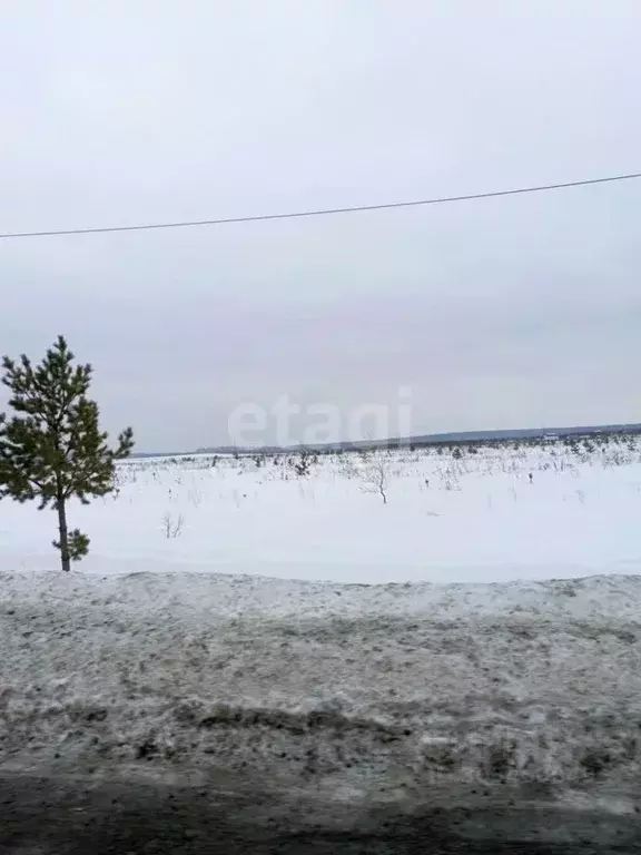 Участок в Свердловская область, Ревда городской округ, пос. Ледянка  ... - Фото 0