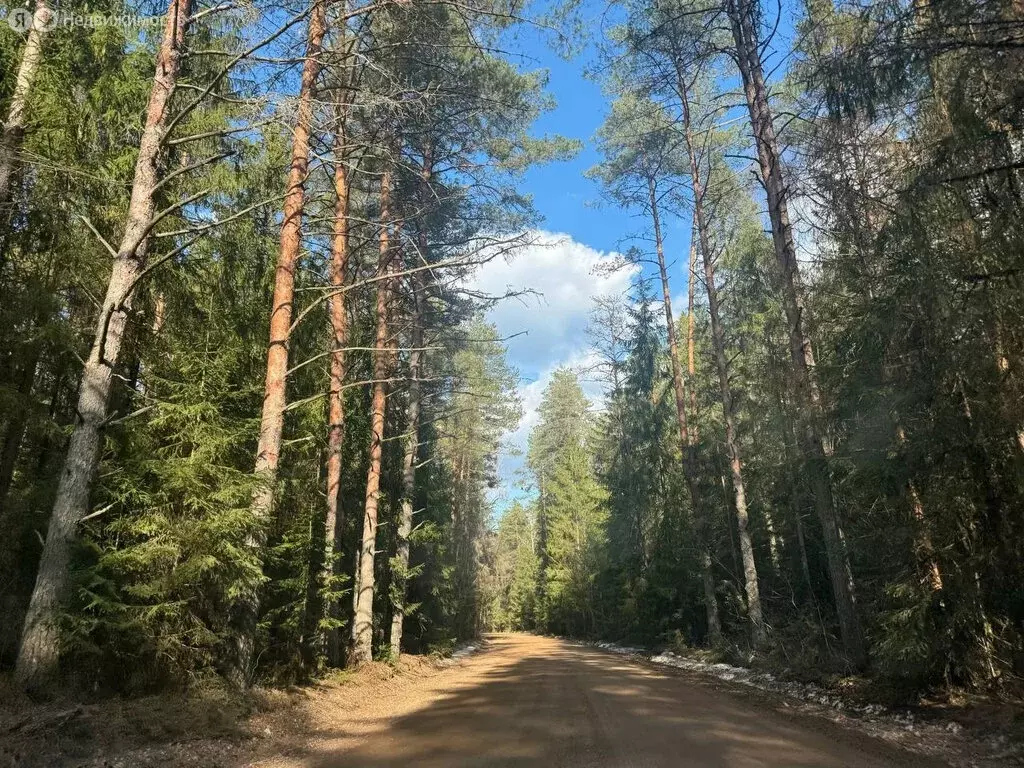 Участок в Савинское сельское поселение, деревня Рышево (9 м) - Фото 2