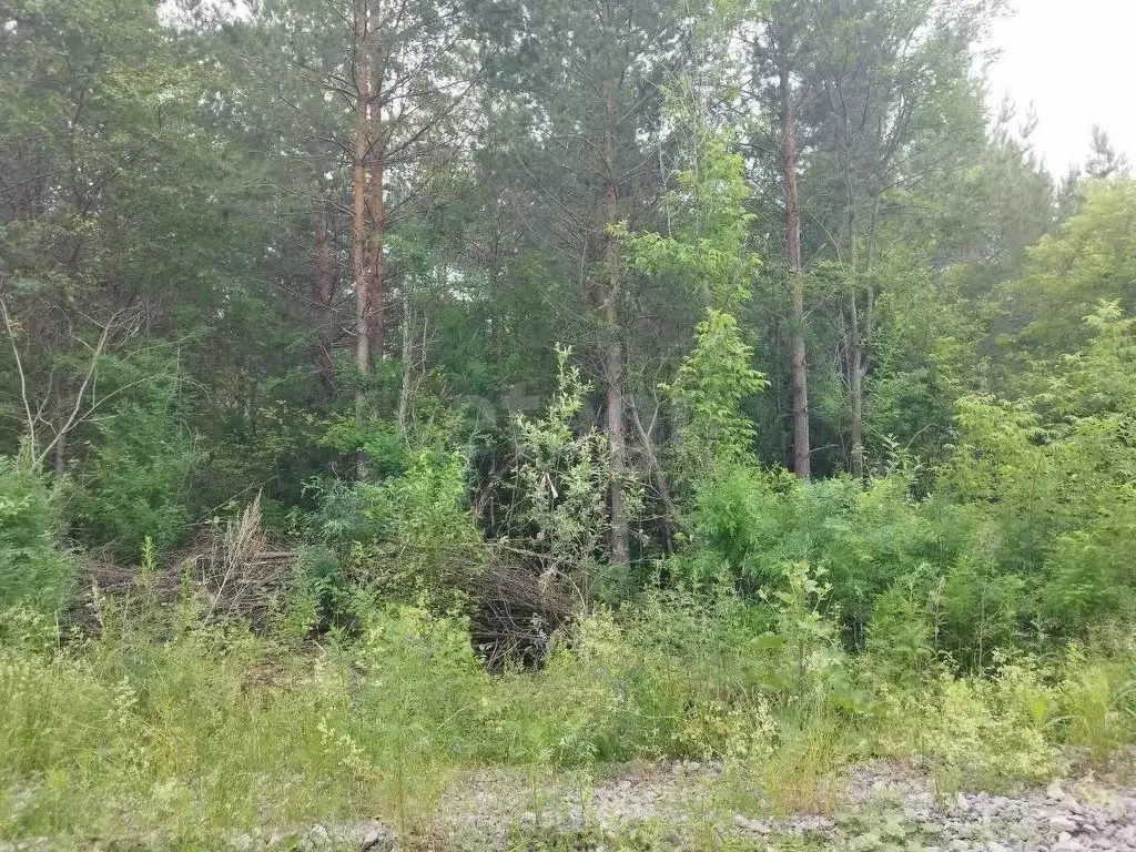 Участок в Свердловская область, Талица  (12.0 сот.) - Фото 1