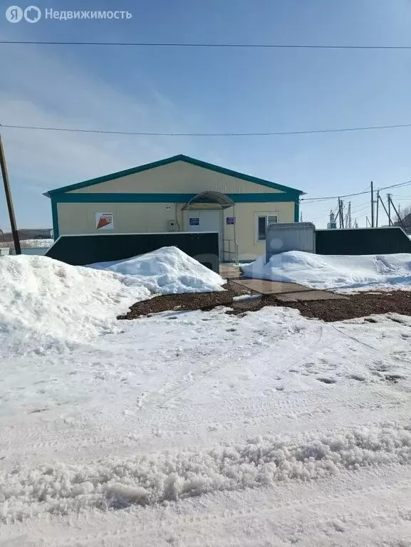 Участок в деревня Базиково, Центральная улица (33 м) - Фото 1