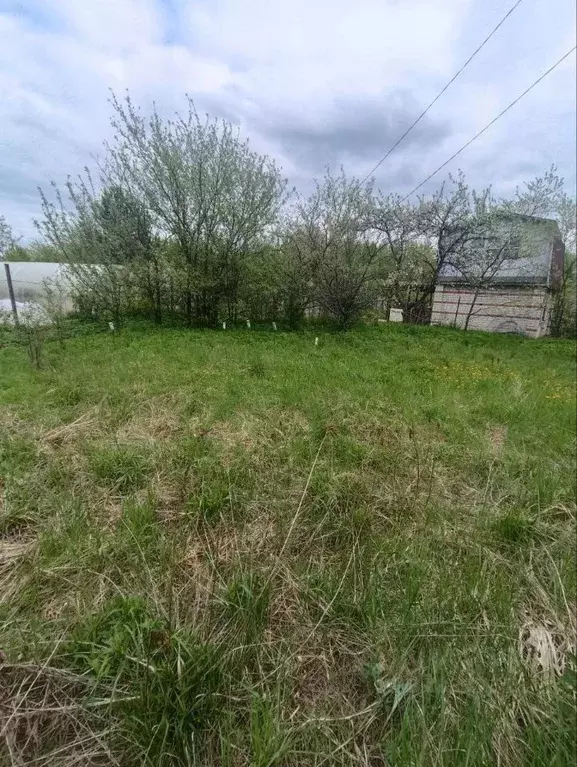Участок в Нижегородская область, Кстово Пион садовое товарищество, 32 ... - Фото 0