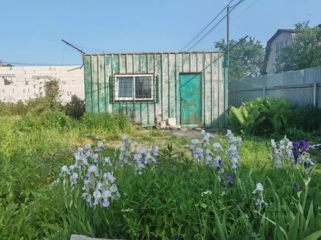 Участок в Калининградская область, Калининград Золотой Петушок ДНТ, ... - Фото 2