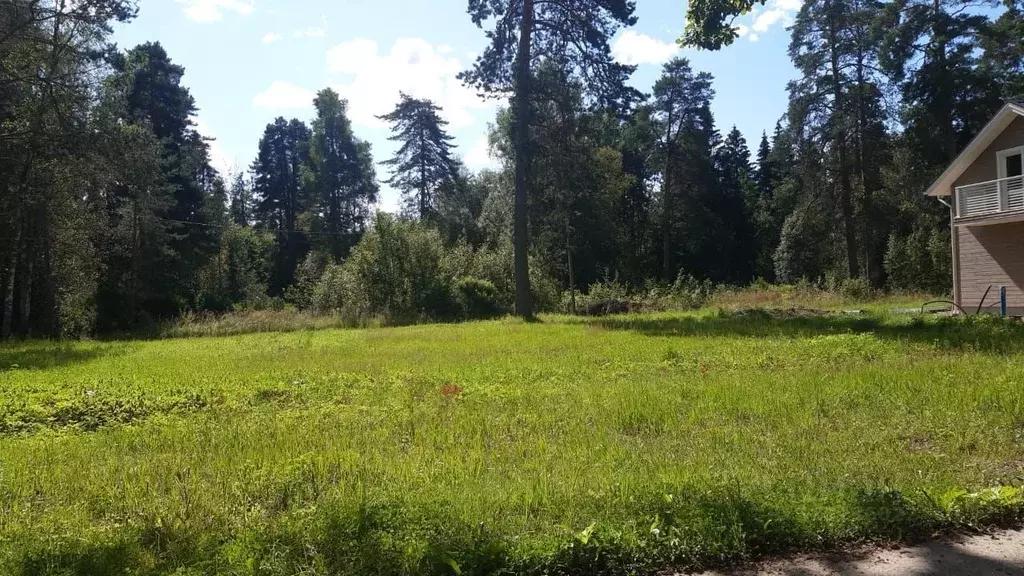 Участок в Ленинградская область, Лужский район, пос. Дзержинского ... - Фото 1