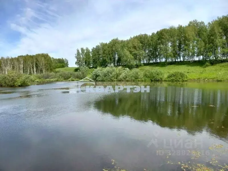 Участок в Новосибирская область, Новосибирск Пашино мкр, ул. ... - Фото 1
