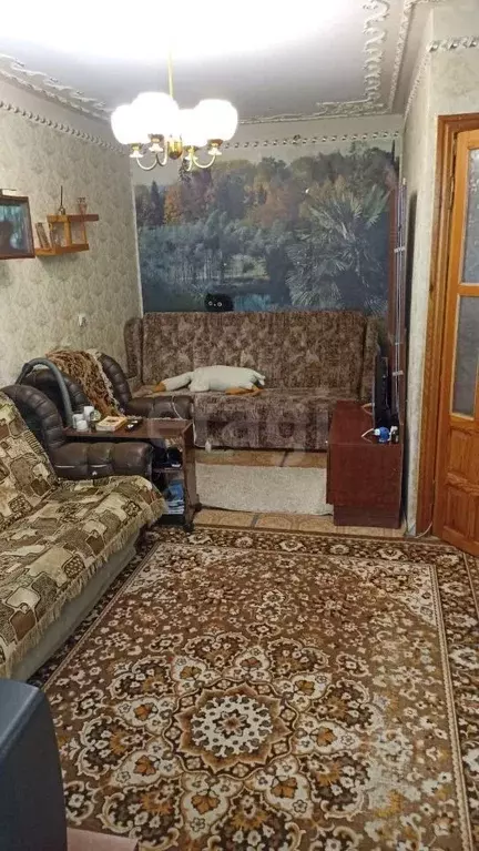 1-к кв. Ростовская область, Таганрог ул. Щаденко, 85 (31.1 м) - Фото 2