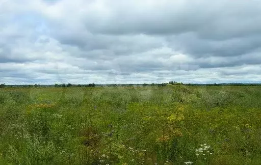 Участок 8 га (ИЖС) - Фото 0