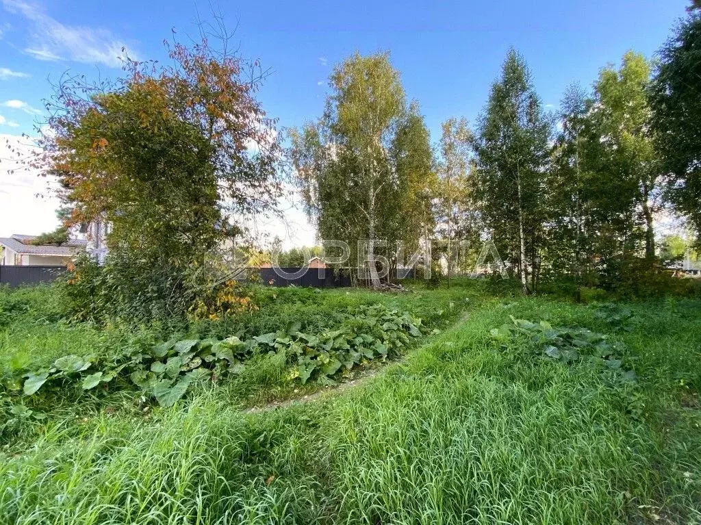 Участок в Тюменская область, Тюменский муниципальный округ, с. ... - Фото 2