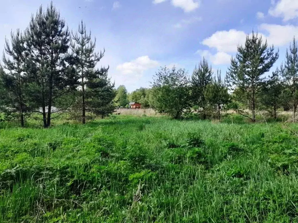 Участок в Владимирская область, Киржачский муниципальный округ, ... - Фото 2