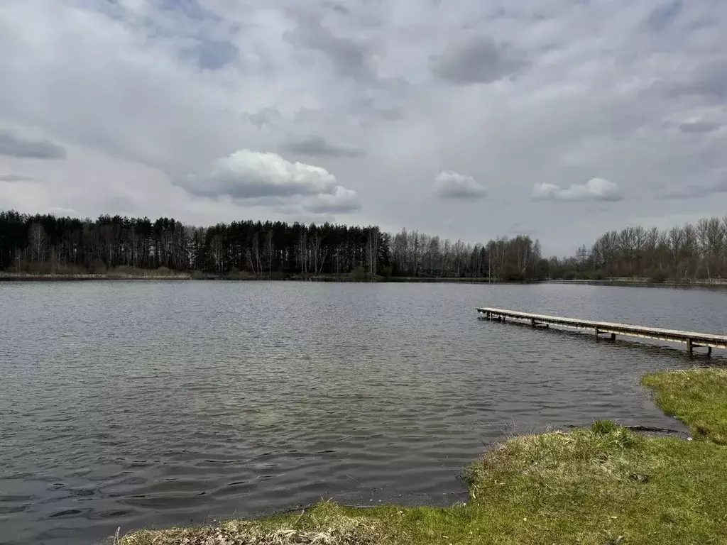 Дом в Московская область, Ногинск Богородский городской округ, ... - Фото 1