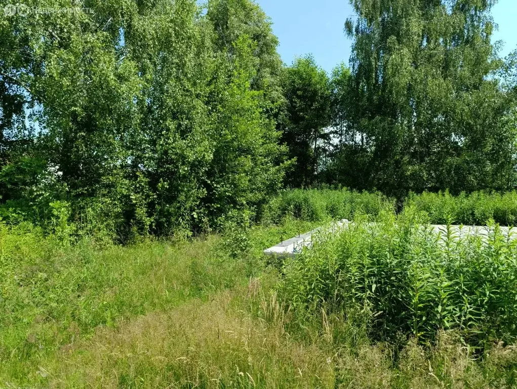 Участок в Светловский городской округ, посёлок Взморье, улица Лапшина, ... - Фото 1