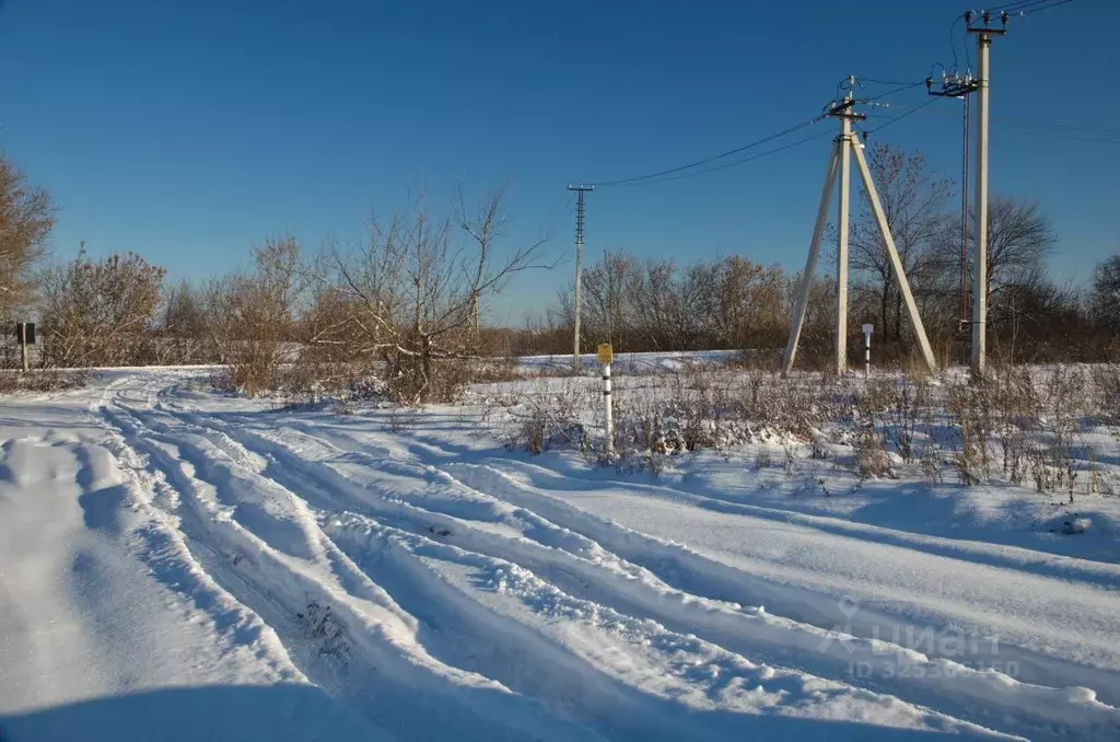Участок в Пензенская область, с. Бессоновка ул. Озерная (6.38 сот.) - Фото 2