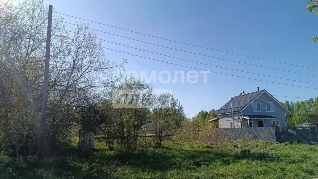 Участок в Нижегородская область, Бор муниципальный округ, д. Трутнево ... - Фото 2