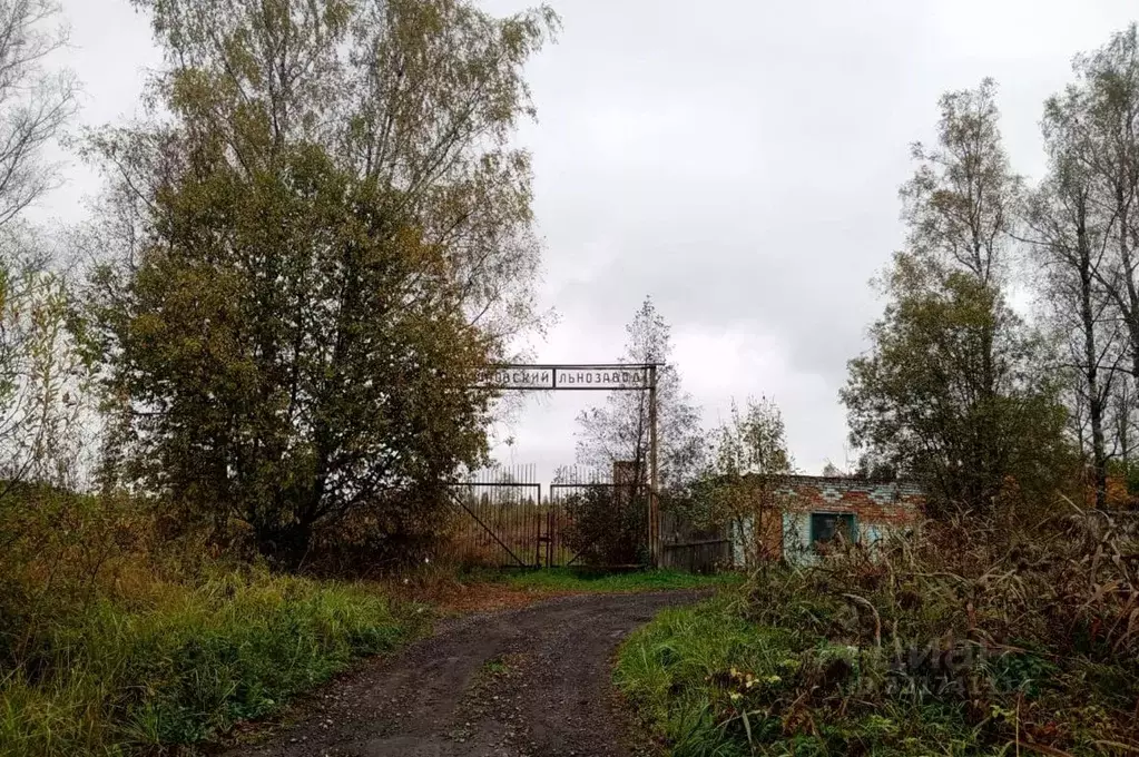 Производственное помещение в Смоленская область, Сафоновский ... - Фото 0