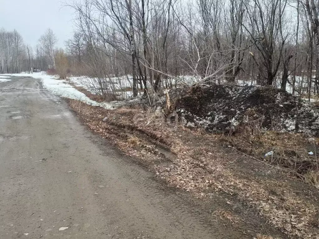 Участок в Сахалинская область, Смирных пгт ул. Заречная (50.0 сот.) - Фото 1