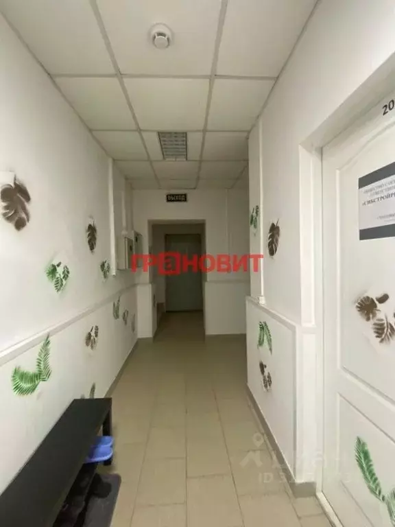 Офис в Новосибирская область, Новосибирск ул. Сакко и Ванцетти, 74 ... - Фото 1