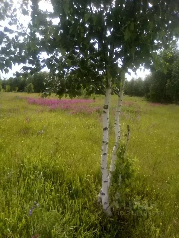 Участок в Пензенская область, Пензенский район, Воскресеновский ... - Фото 1