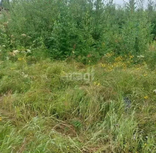 Участок в Новосибирская область, Новосибирский район, Ярковский ... - Фото 1
