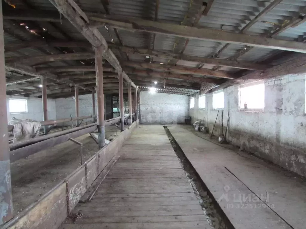 Участок в Волгоградская область, Ленинский район, пос. Рассвет Степная ... - Фото 1