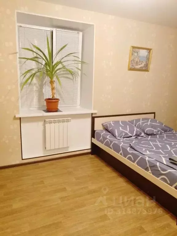 1-к кв. Нижегородская область, Саров ул. Куйбышева, 10 (34.0 м) - Фото 0