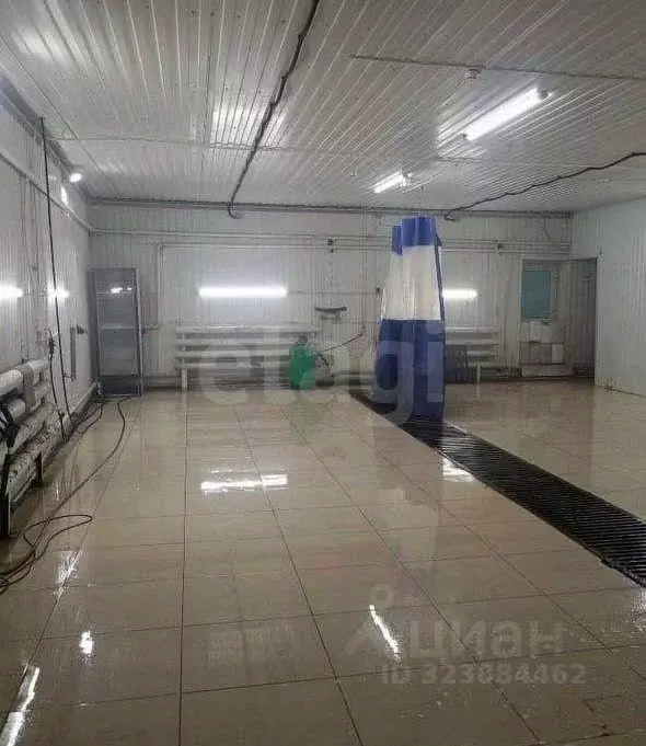 Помещение свободного назначения в Ямало-Ненецкий АО, Новый Уренгой ... - Фото 1