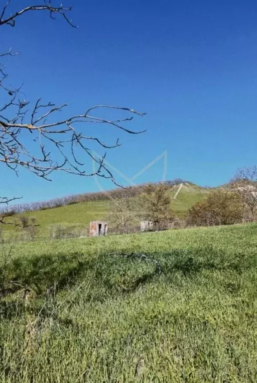 Участок в Ставропольский край, Пятигорск городской округ, пос. Свободы ... - Фото 2