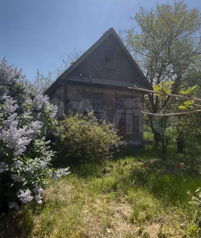 Участок 7 сот. (СНТ, ДНП) - Фото 0